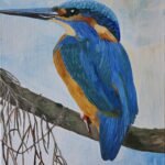 ijsvogel-3